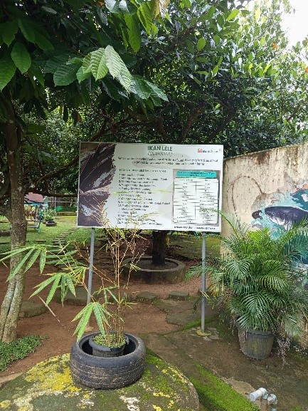 Lingkungan Rule Athallah